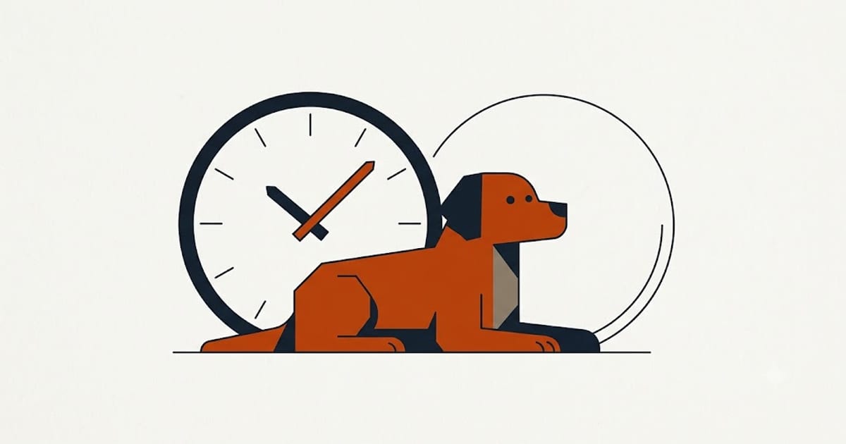 A dog resting, being watched for other signs