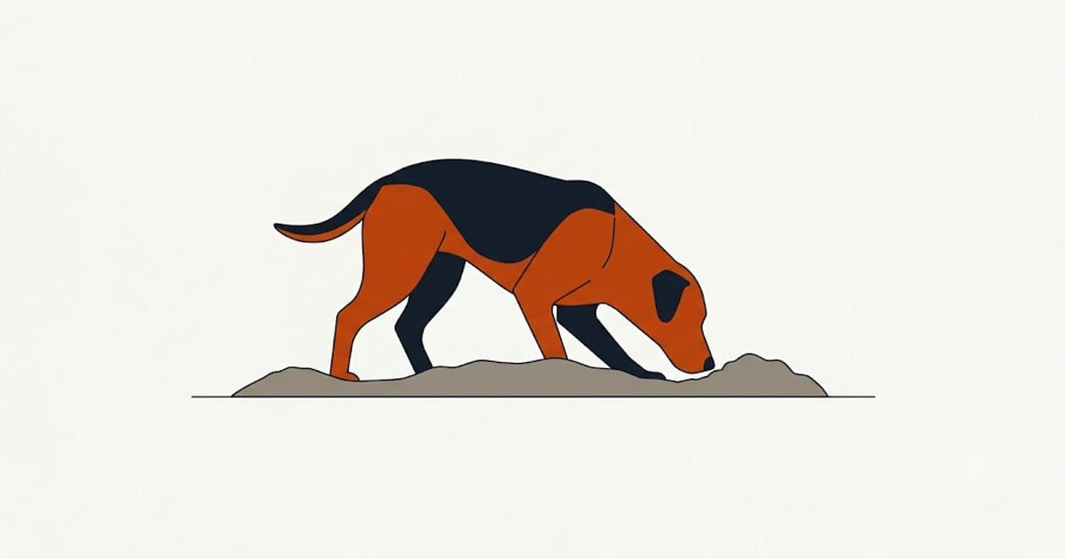 A dog digging and mouthing at soil