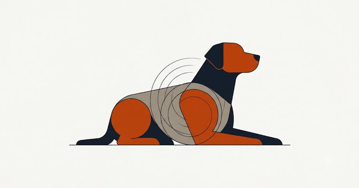 A dog lying down while its stomach makes noise