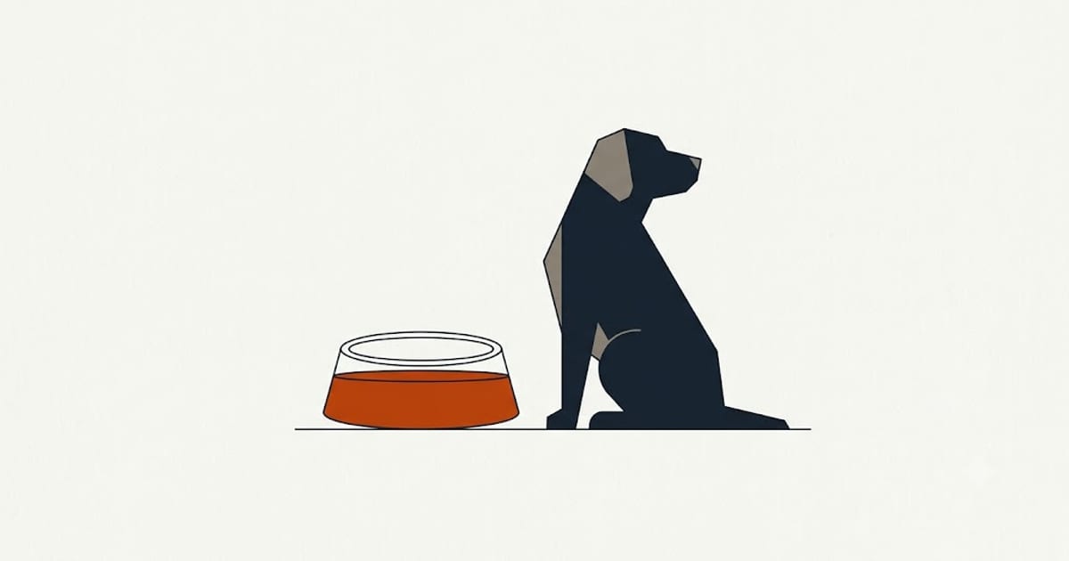 A full water bowl left untouched